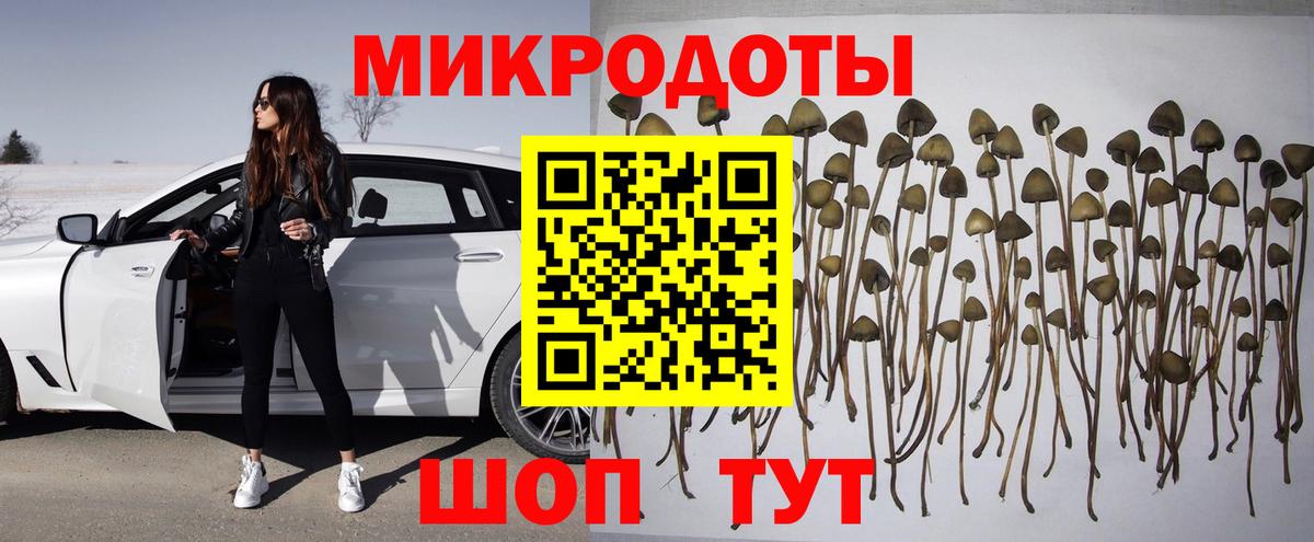 Сальск  Галлюциногенные грибы Magic Shrooms  Галлюциногенные грибы мухоморы  Вход с VPN 